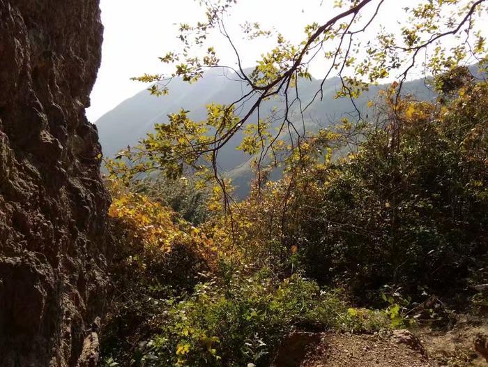 农民致富绝招:蔬菜地里养鱼