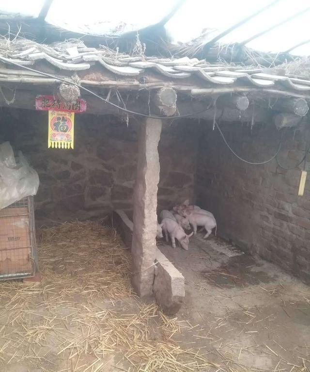 普兰店区农家贴对联迎春节