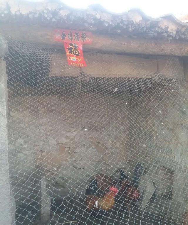 普兰店区农家贴对联迎春节