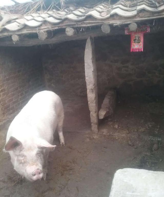 普兰店区农家贴对联迎春节