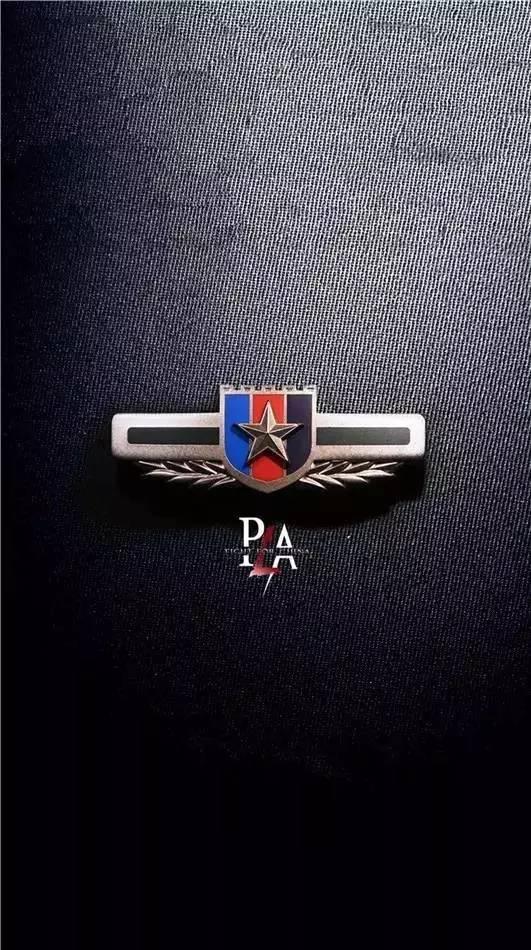 9款武警部队专属高清壁纸（另有各军兵种高清手机壁纸系列）