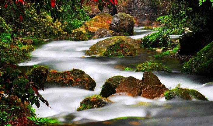 张家界的金鞭溪