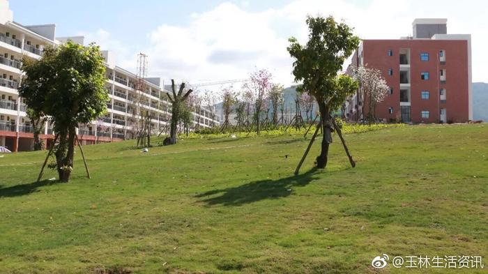 陆川中学新校区美如画