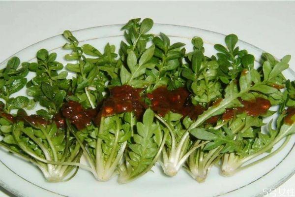 芥菜为什么会苦 芥菜苦的原因有什么 芥菜为什么会苦 芥菜苦的原因有什么