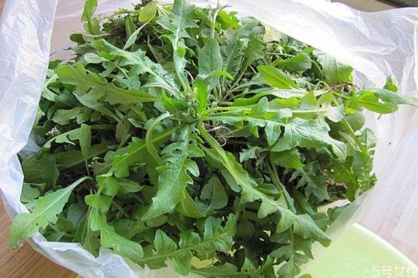 芥菜为什么会苦 芥菜苦的原因有什么 芥菜为什么会苦 芥菜苦的原因有什么