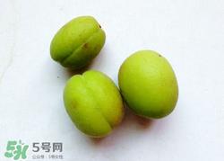 青杏怎么催熟?青杏怎么变黄? 青杏怎么催熟?青杏怎么变黄?