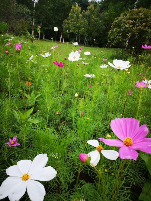生活中的美好瞬间图片 生活中的美好瞬间图片卡通