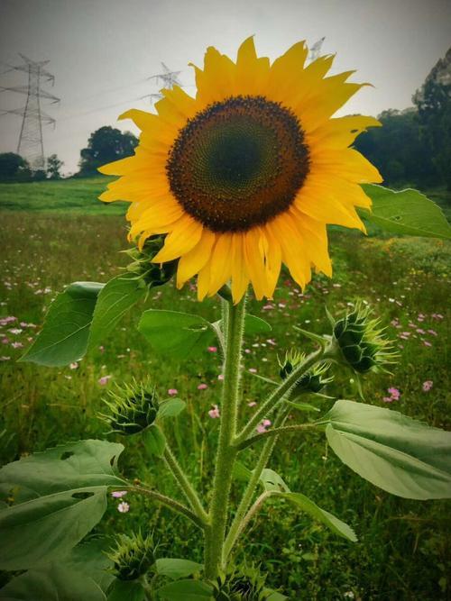 生活中的美好瞬间图片 生活中的美好瞬间图片卡通