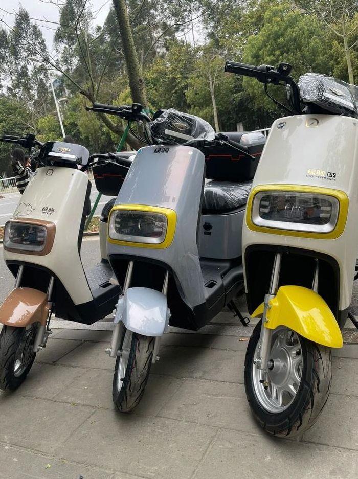 绿驹电动车电池价格（绿驹电动车用的什么电池）