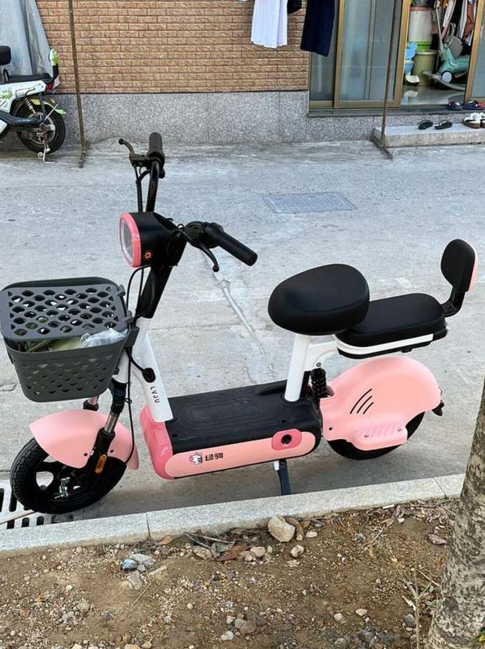 绿驹电动车电池价格（绿驹电动车用的什么电池）