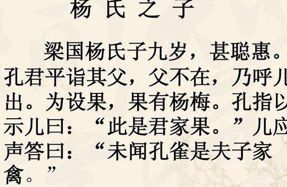 扬子父亲（扬子母亲是谁）