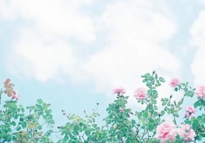 ​内蒙古自治区巴彦淖尔盟的车牌代码 蒙L是哪里的车牌