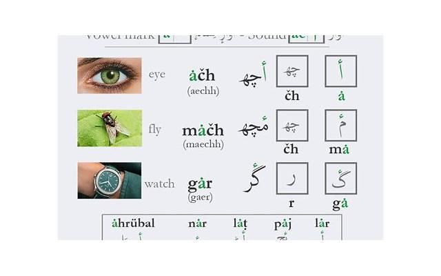 发朋友圈的浪漫情话