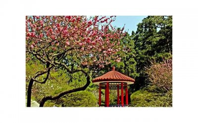 女人变心后的表现,如何看懂她的心思?