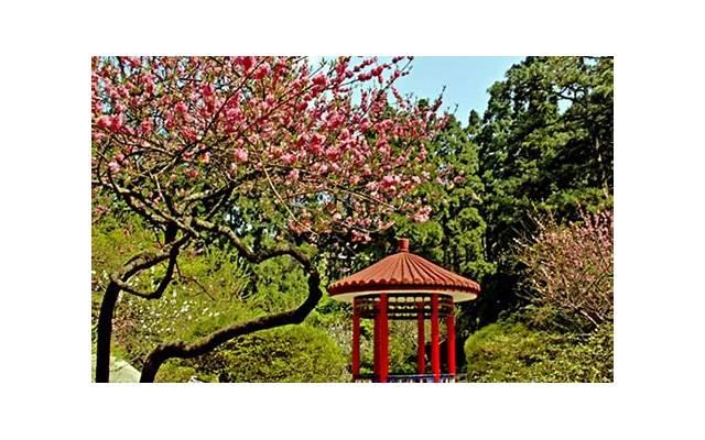 女人变心后的表现,如何看懂她的心思? 女人变心后的表现,如何看懂她的心思?