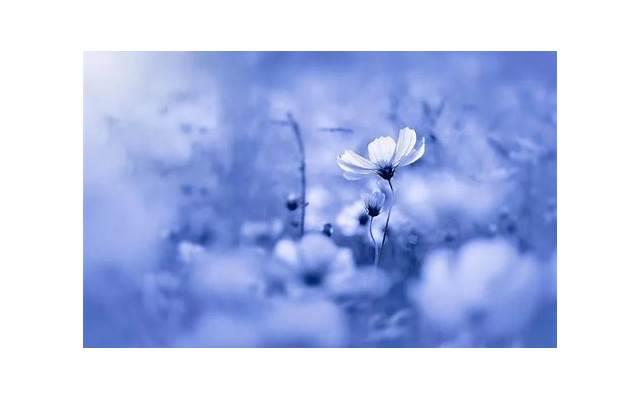 已婚女人出轨会有什么表现吗(已婚女人出轨被发现后会真心回归吗) 已婚女人出轨会有什么表现吗(已婚女人出轨被发现后会真心回归吗)