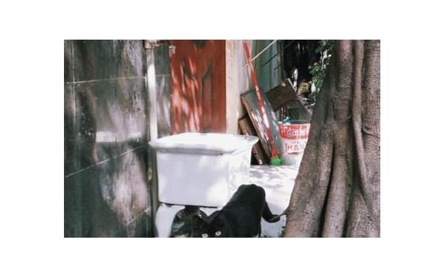 吵架最能看清一个男人 吵架最能看清一个男人什么 吵架最能看清一个男人 吵架最能看清一个男人什么