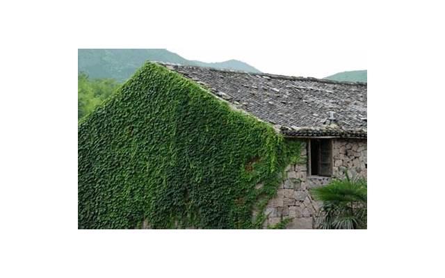 男人在这些事情上“凶”你,才是真的爱你 男人在这些事情上“凶”你,才是真的爱你