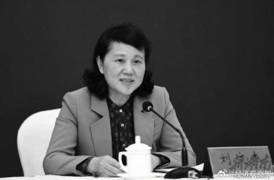 ​湖南省财政厅厅长刘文杰意外去世