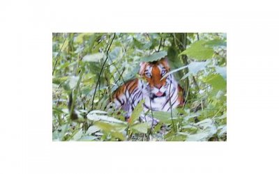 男人需要学习怎样的亲吻技巧 男人怎么亲吻女人才会喜欢