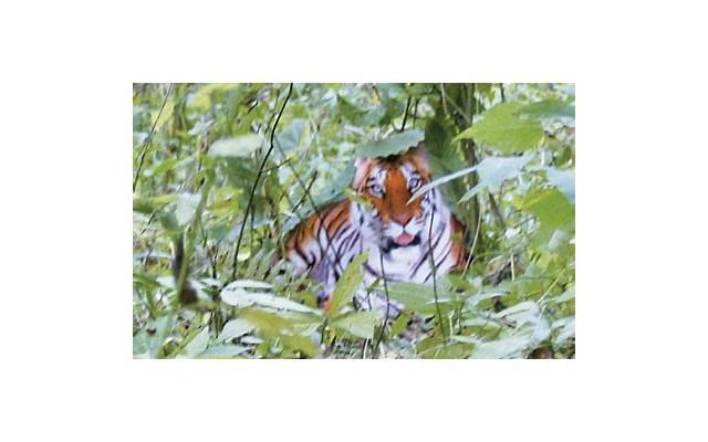 男人需要学习怎样的亲吻技巧 男人怎么亲吻女人才会喜欢