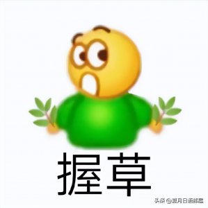 弹幕中“草”到底是啥意思?竟来自日语?探究网络用语“草”语源
