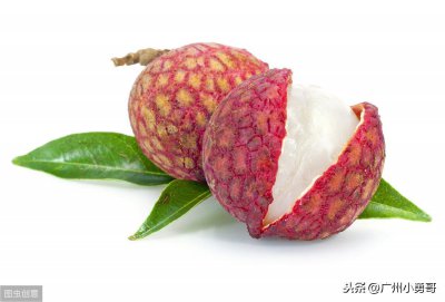 中国荔枝的十大排名,你知道几个,没想到白糖罂荔枝还是皇室贡品