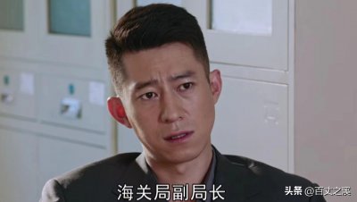 ​《梦中的那片海》：陈宏军是北京海关局副局长，级别到底有多高？