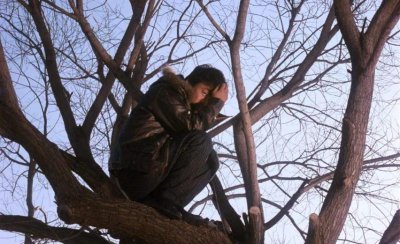 ​解读《Hello，树先生》，魔幻现实主义的电影