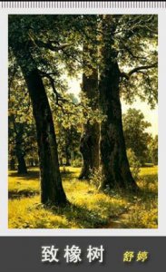 ​舒婷《致橡树》中的爱情观