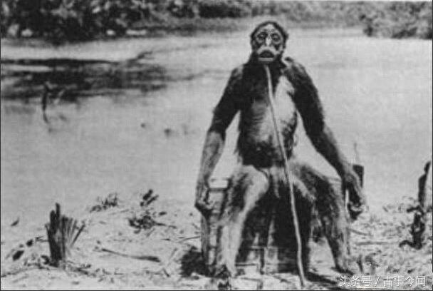 震撼的老照片,上世纪清晰的巴西猿人照片,还有猿人存活?
