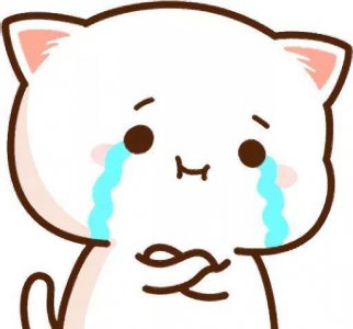 蜜桃猫表情包5.0来了