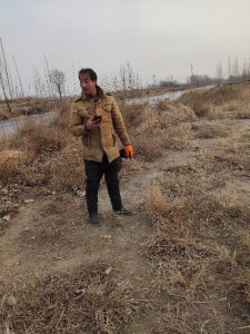 三蛋的绚丽人生