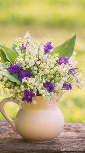 三元九运旺山旺向表