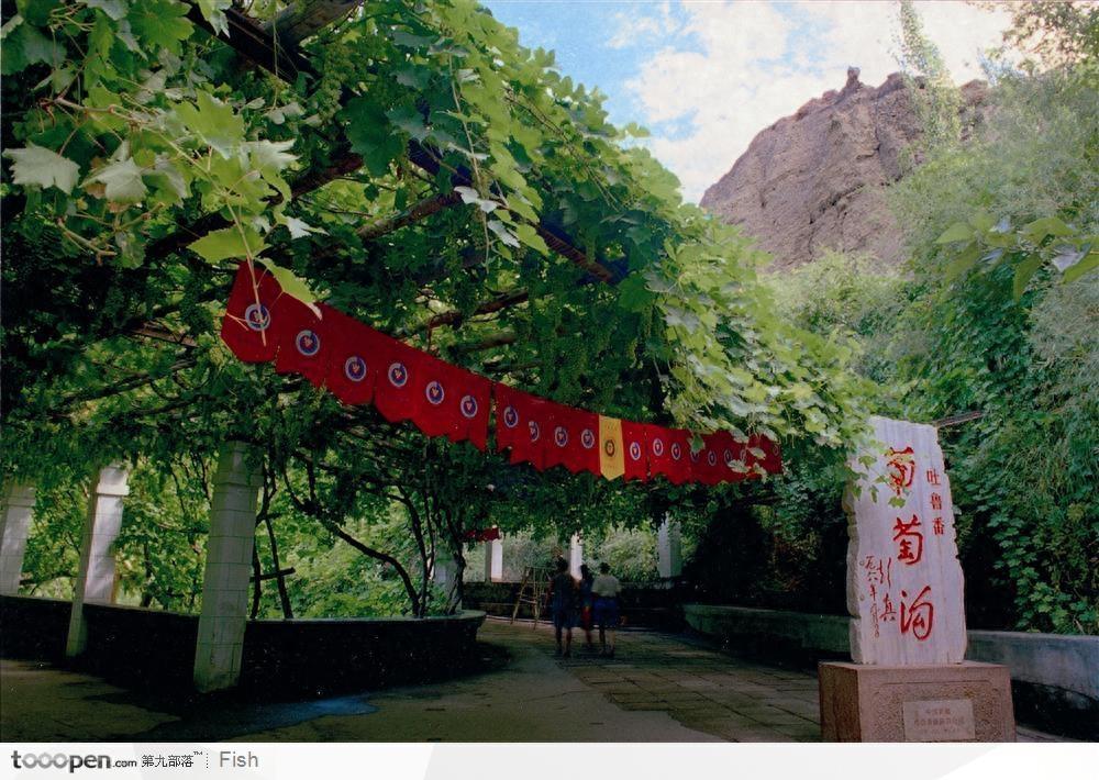 风景图集:葡萄沟风景美图