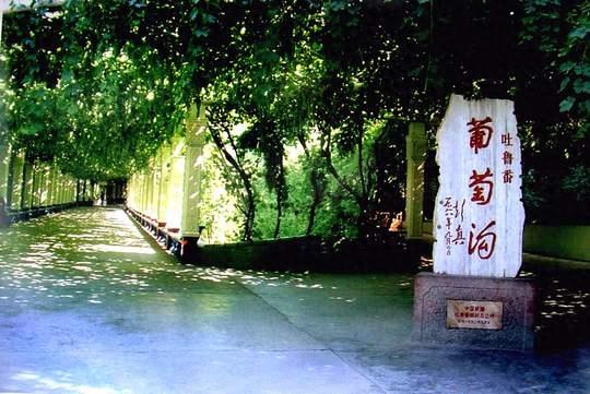 风景图集:葡萄沟风景美图