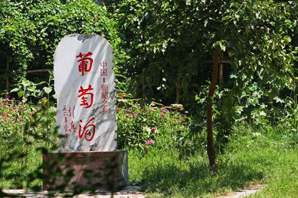 风景图集:葡萄沟风景美图