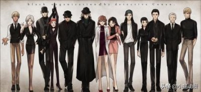 ​《名侦探柯南》- 黑暗组织成员大曝光