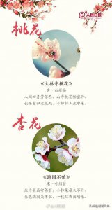 ​《人民日报》精选18首鲜花古诗：相约家人朋友，一起踏青赏花吧！