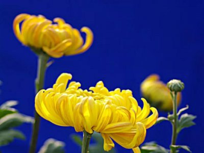 过世的人能保佑在世的人吗?