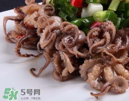 八爪鱼怎么做好吃?八爪鱼怎么保存 八爪鱼怎么做好吃?八爪鱼怎么保存