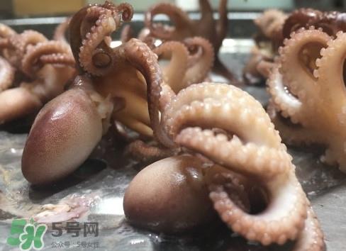 八爪鱼怎么做好吃?八爪鱼怎么保存 八爪鱼怎么做好吃?八爪鱼怎么保存