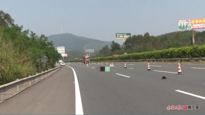 ​悲剧！行人横穿高速公路被撞身亡