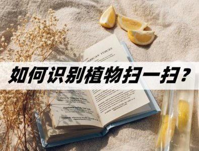 ​如何识别植物扫一扫？两个识别植物的方法分享