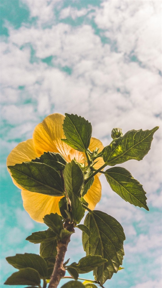 今日壁纸丨以后你叫长安,我叫故里,因为长安归故里