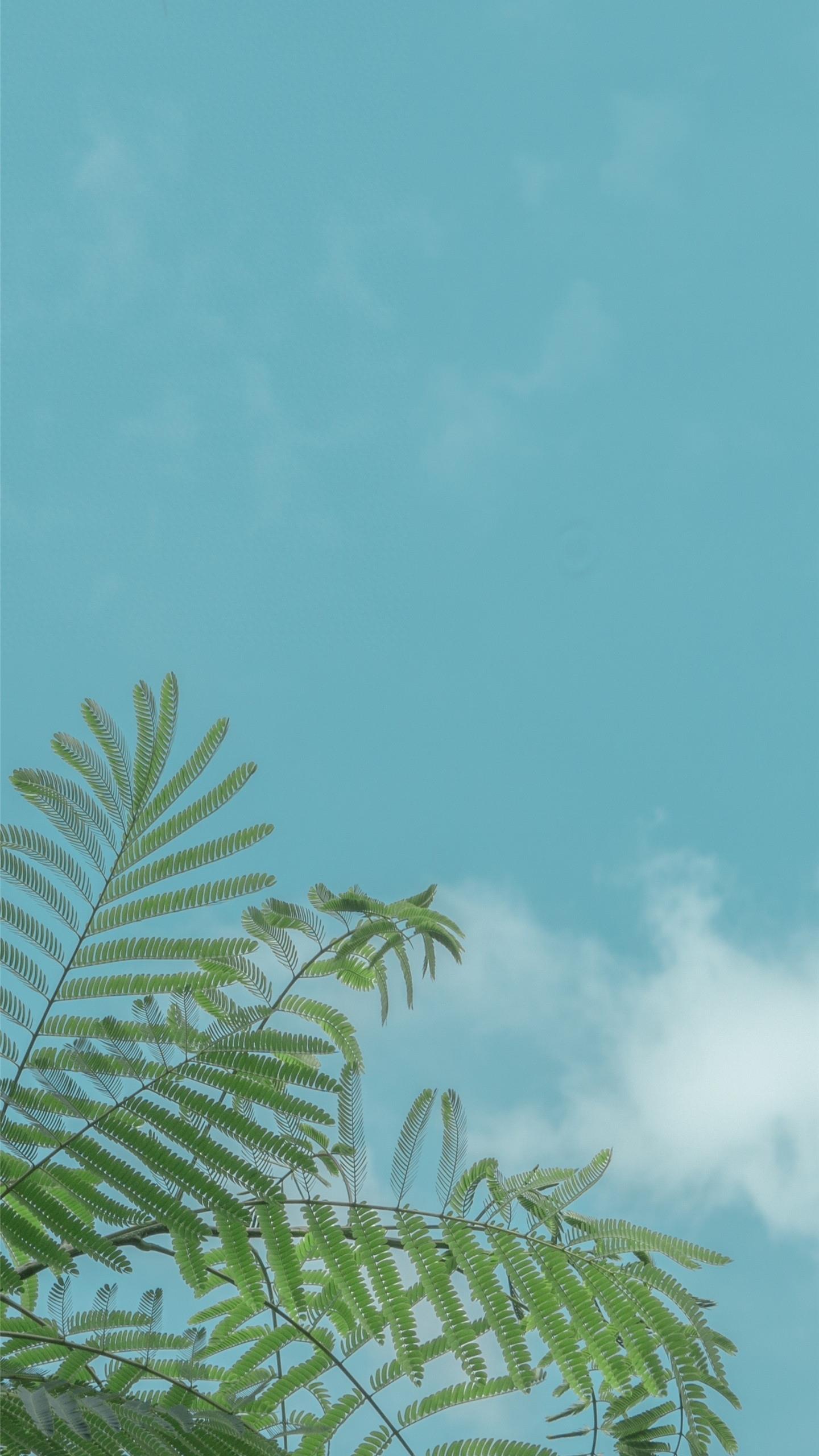 今日壁纸丨以后你叫长安,我叫故里,因为长安归故里