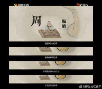 《酱油是什么》:探索中华美食文化与品牌发展的深度纪录片
