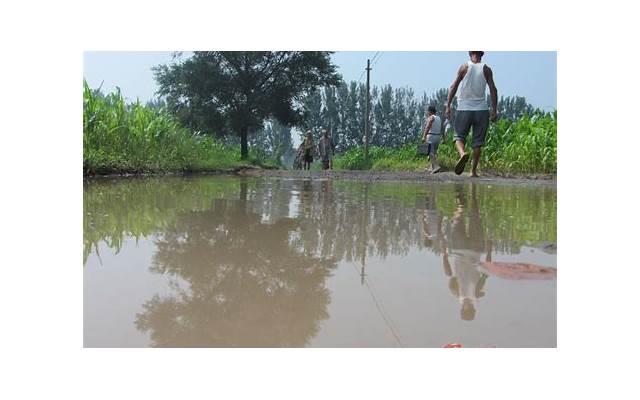 老婆出轨，老婆出轨，如何应对？