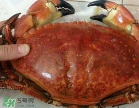 面包蟹什么时候最肥？面包蟹几月份最肥