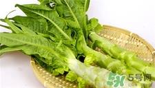 莴笋叶子的营养价值 莴笋叶子的功效与作用